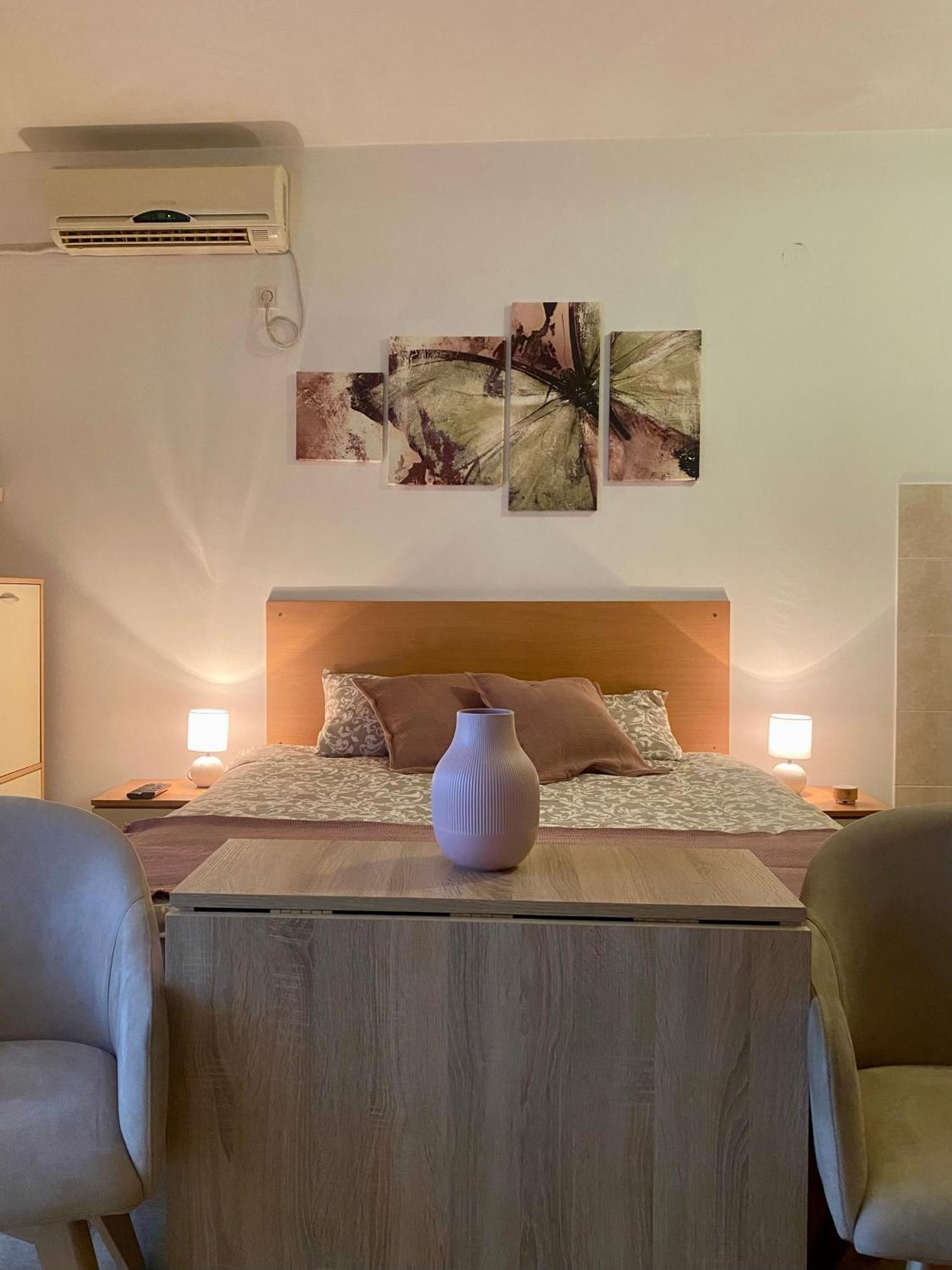 Apartment Victor Banja Koviljaca Luaran gambar